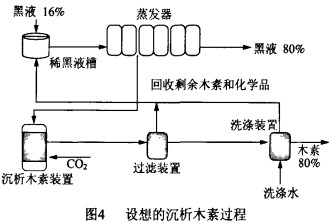 偠t,|偠t,wC,նwC,ľмwC